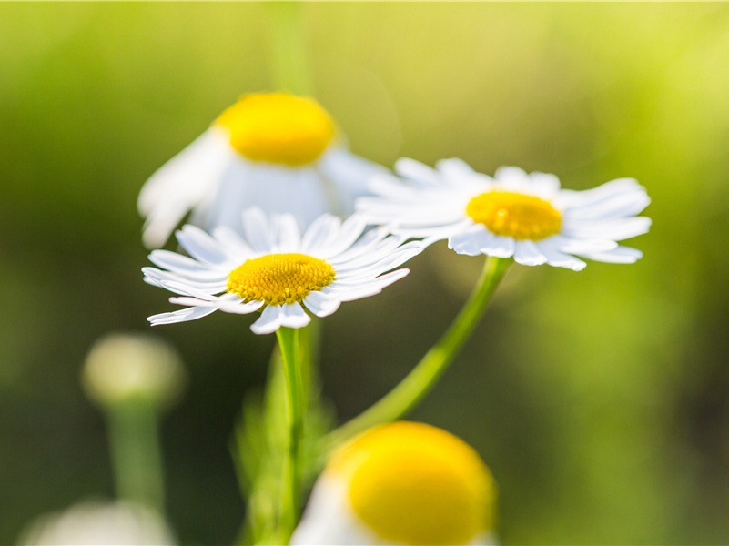 对雨书怀走邀许主簿