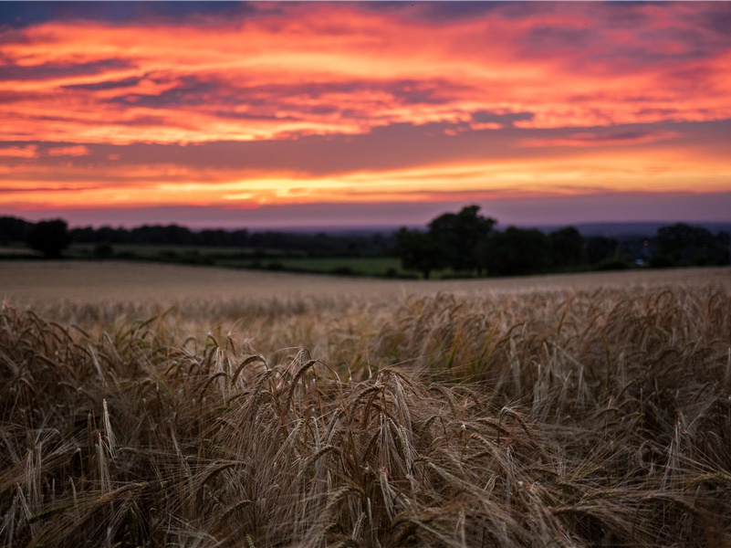 晚晴·返照斜初彻