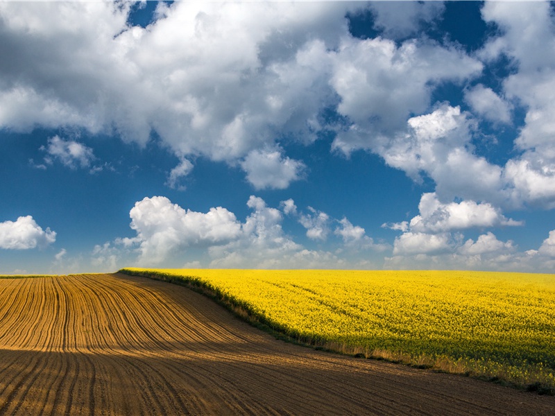 八哀诗·赠左仆射郑国公严公武