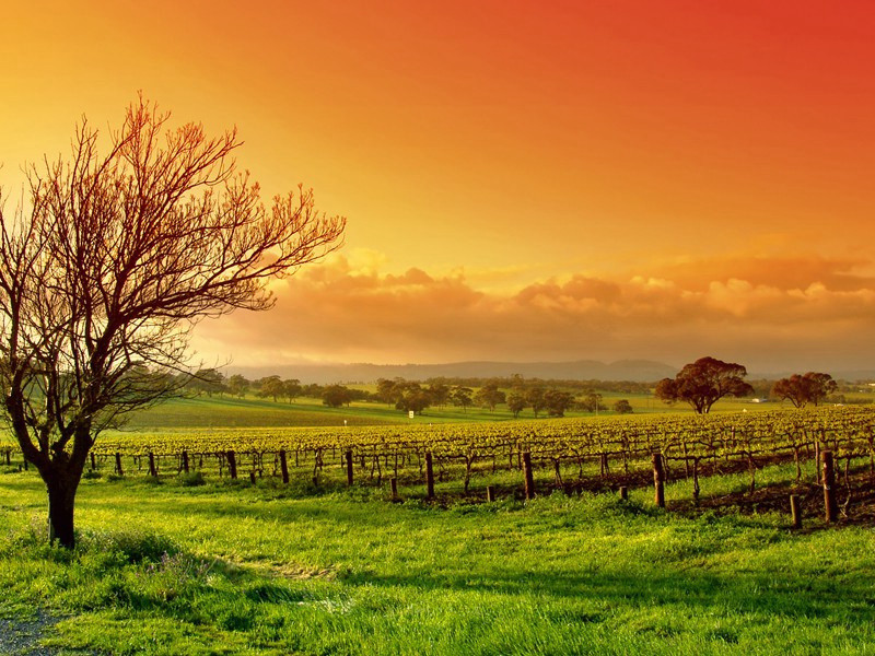 八哀诗·赠秘书监江夏李公邕