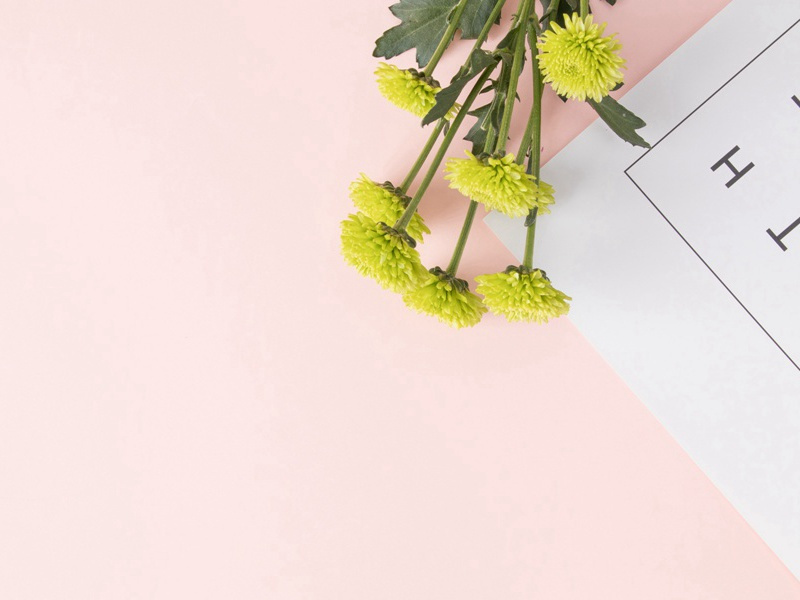 八哀诗·故右仆射相国曲江张公九龄