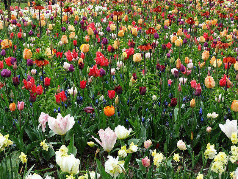 奉汉中王手札报韦侍御萧尊师亡