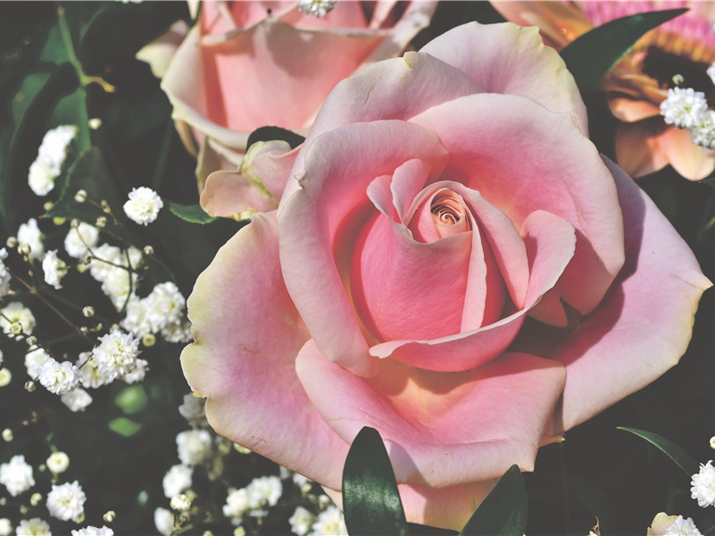 闻斛斯六官未归