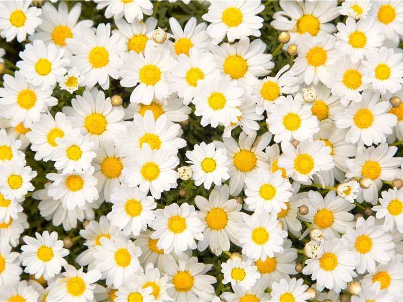 送李功曹之荆州充郑侍御判宫重赠