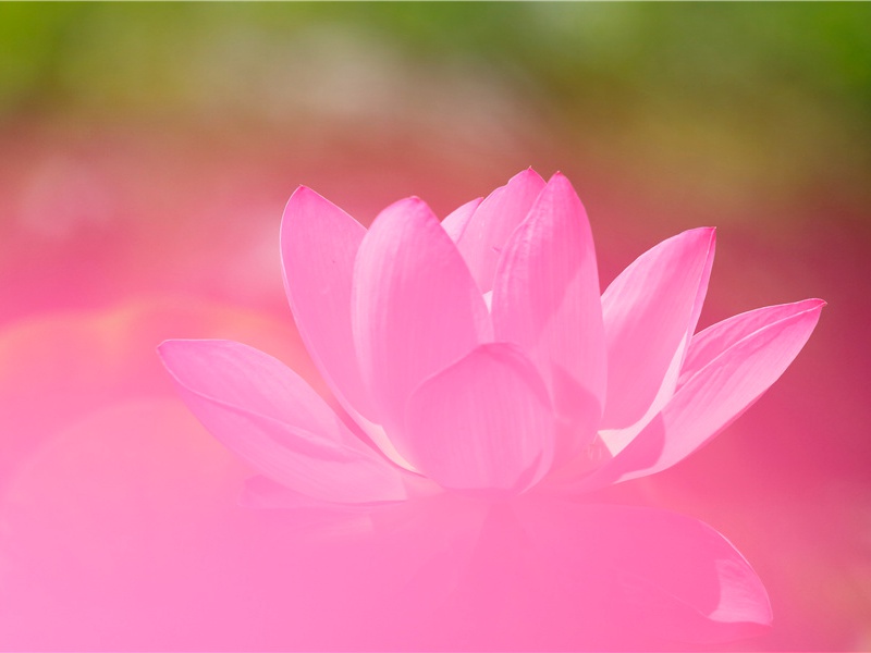 九日诸人集于林