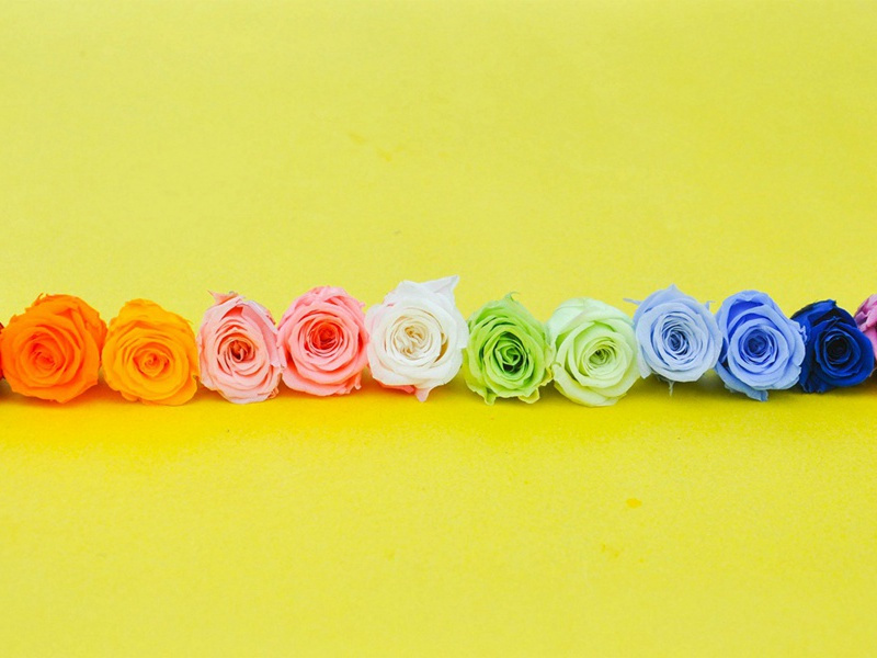 即事(一作天畔)