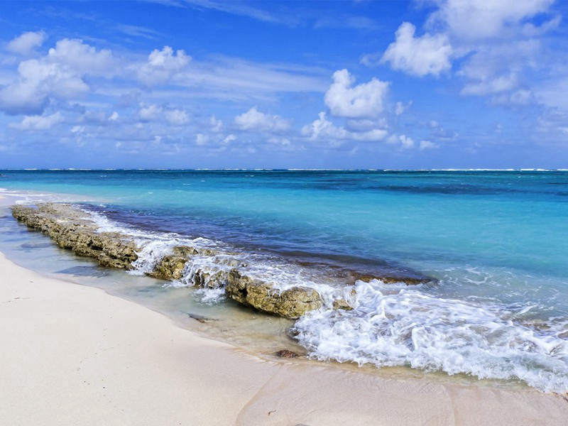 萧八明府实处觅桃栽