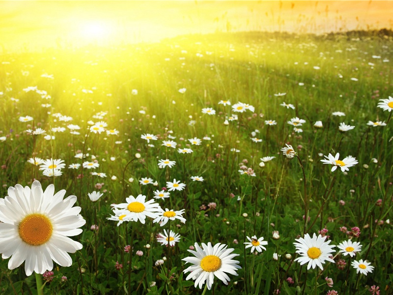 送鲜于万州迁巴州