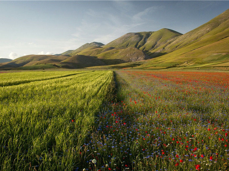 别崔潩因寄薛据孟云卿