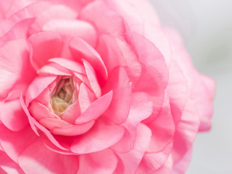 熟食日示宗文宗武