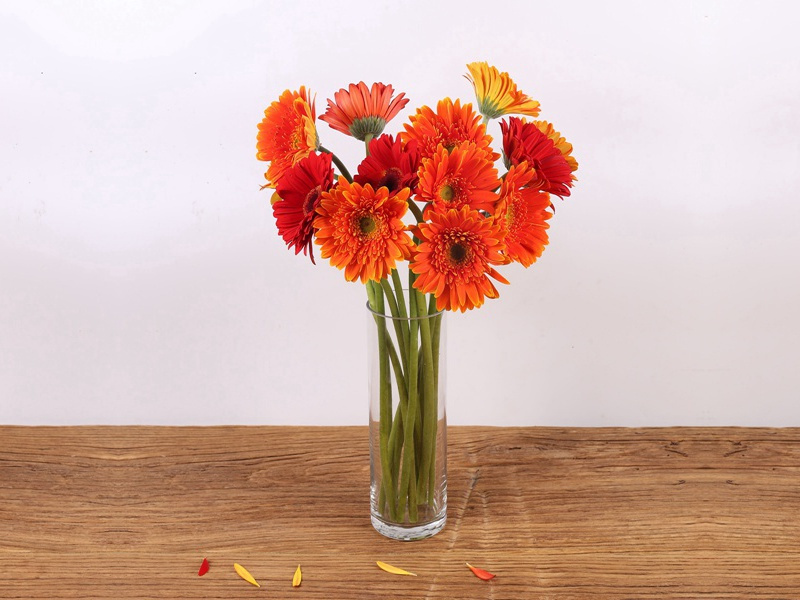 阻雨不得归禳西甘林