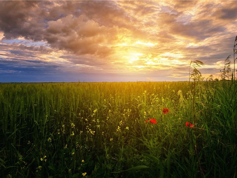 奉酬薛十二丈判宫见赠