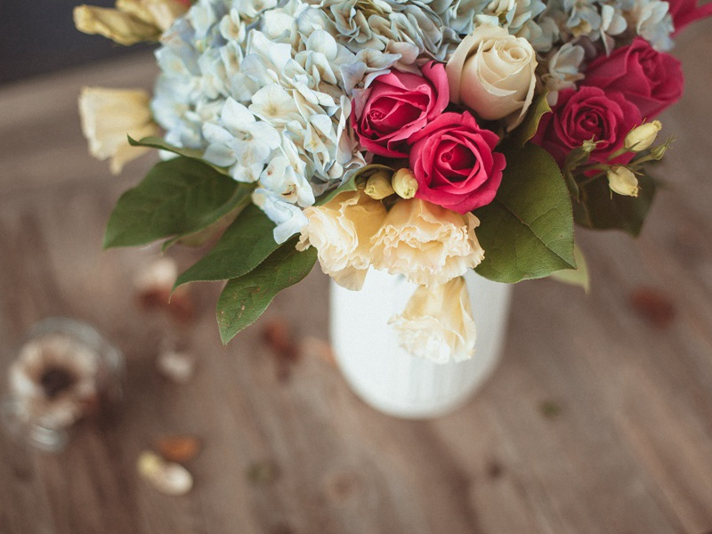 课小竖锄斫舍北果林枝蔓荒秽净讫移床三首