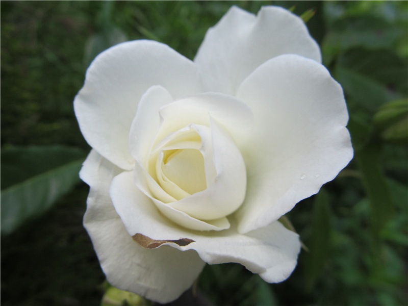 返照·返照开巫峡