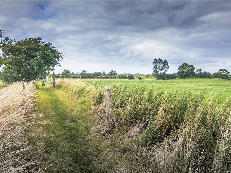 远游·贱子何人记