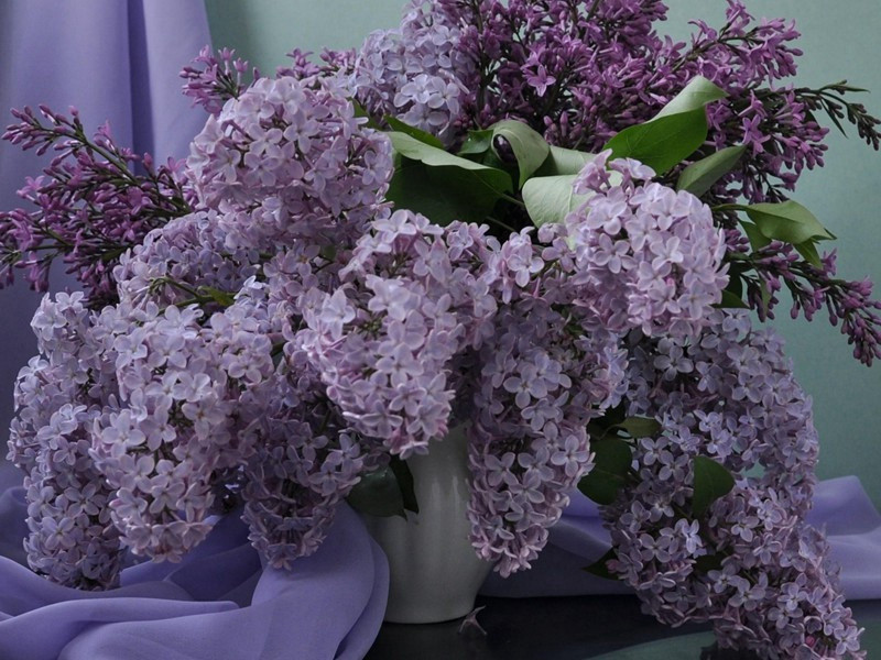 凭孟仓曹将书觅土娄旧庄