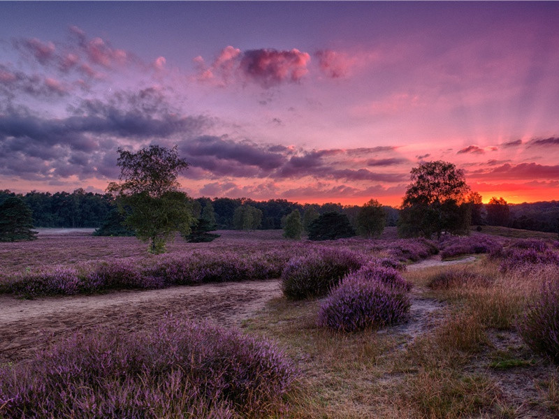 郪城西原送李判官兄武判官弟赴成都府