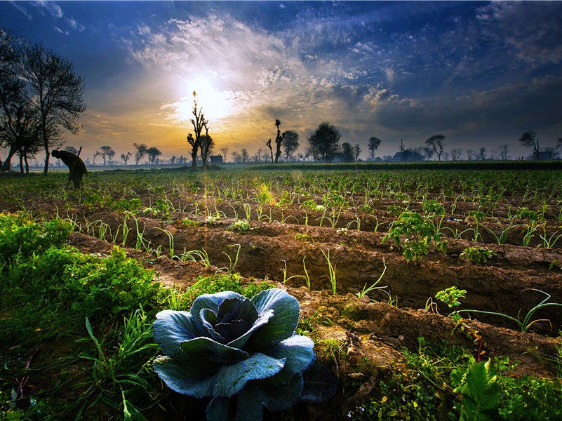 雷·巫峡中宵动