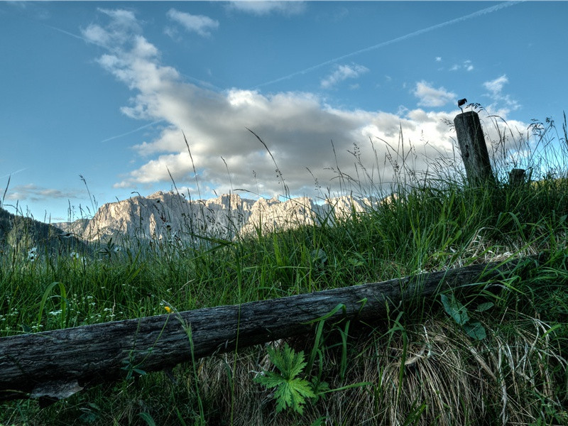 七月一日题终明府水楼二首