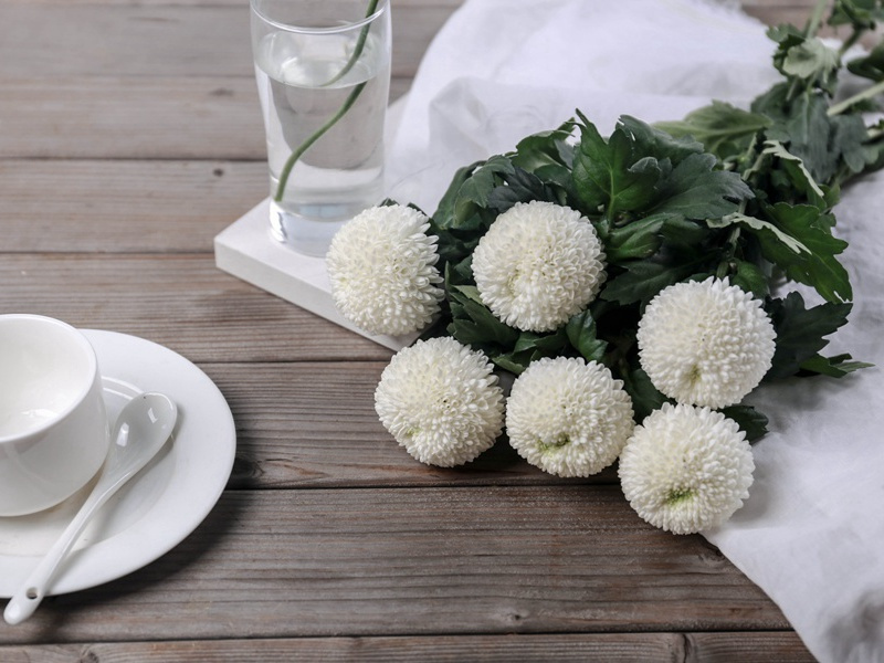 王录事许修草堂赀不到聊小诘