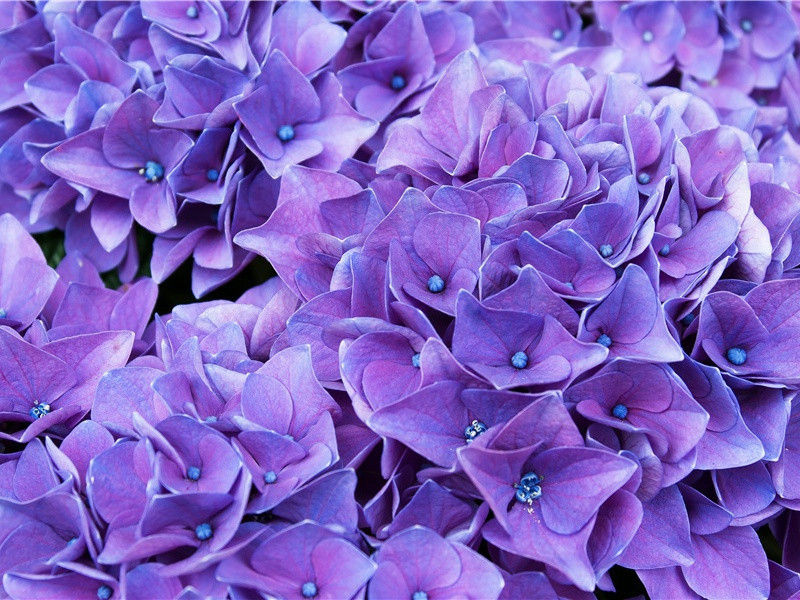 赠李八秘书别三十韵