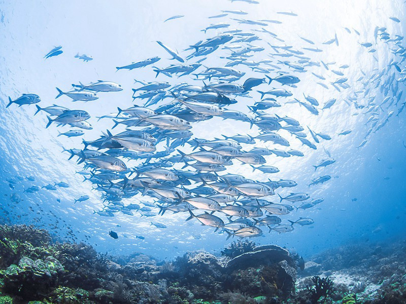 九月一日过孟十二仓曹十四主簿兄弟