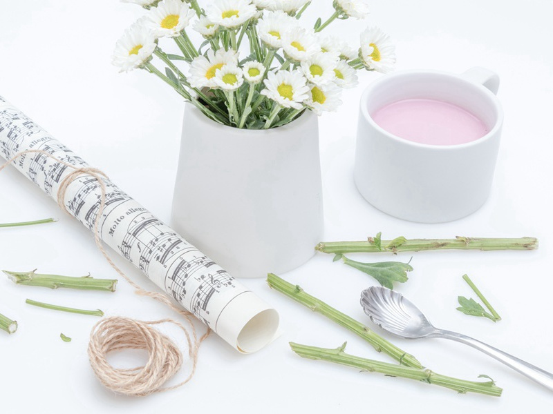 假山并序/天宝初南曹小司寇舅于我太夫人堂下累土为山…而作是诗