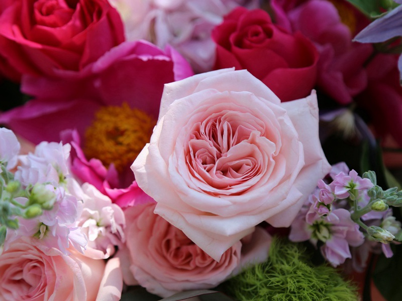 春日戏题恼郝使君兄