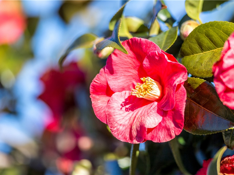 苦雨奉寄陇西公兼呈王征士