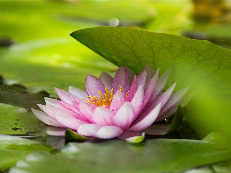 奉赠太常张卿垍二十韵