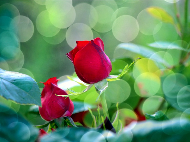 江涨·江发蛮夷涨