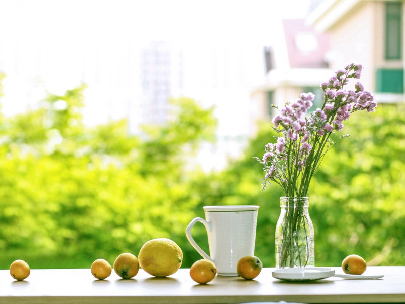 送蔡希曾都尉还陇右因寄高三十五书记