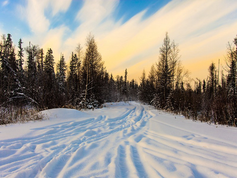 题玄武禅师屋壁