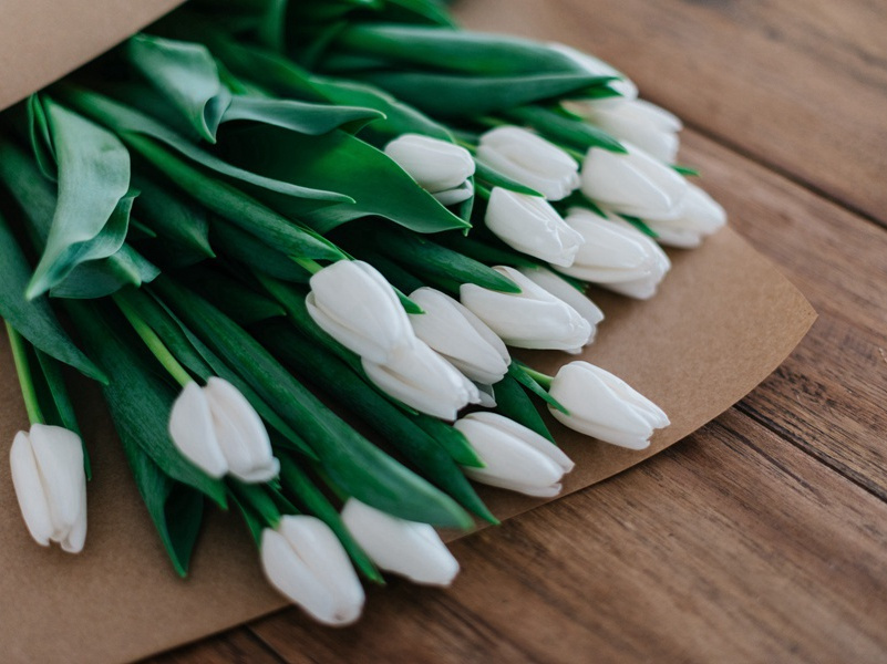 送许八拾遗归江宁觐省甫昔时尝客游此县…图样志诸篇末