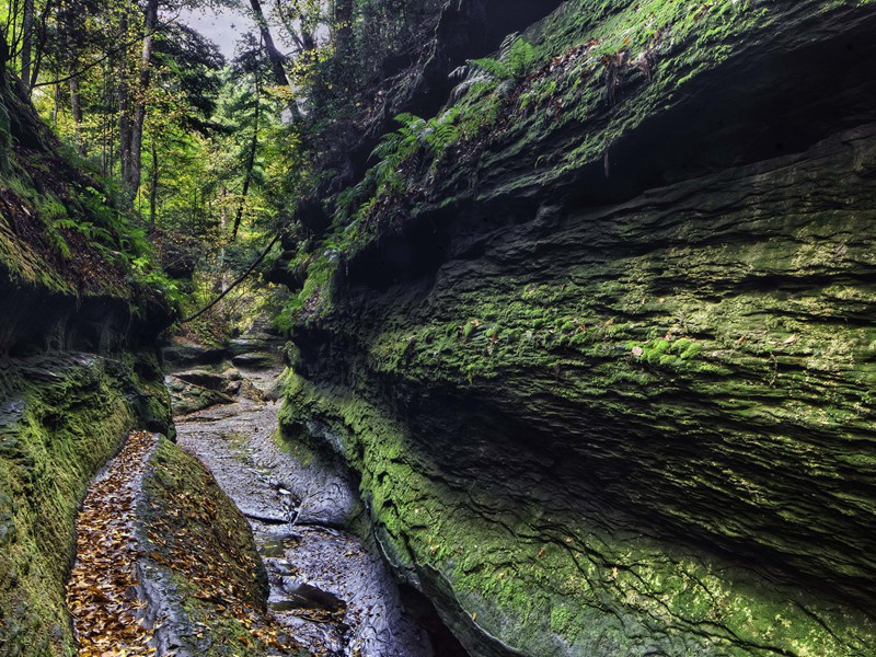 题郑十八著作虔