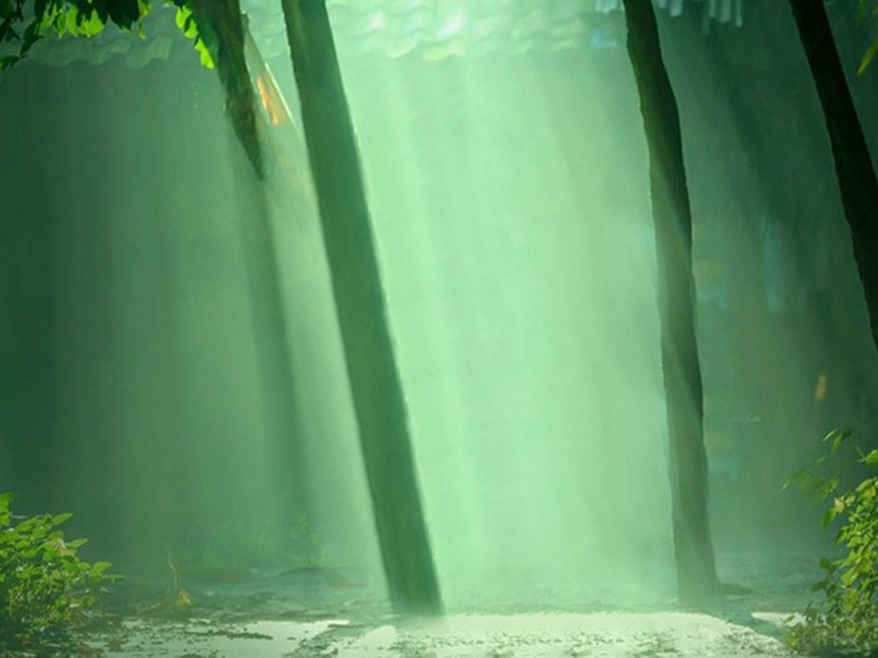 阌乡姜七少府设脍戏赠长歌