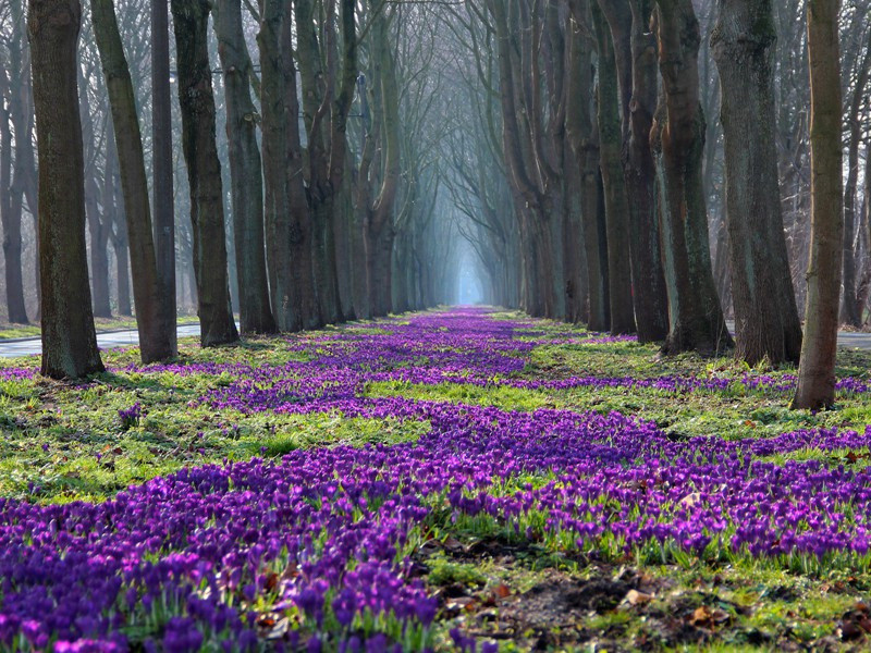 逢唐兴刘主簿弟