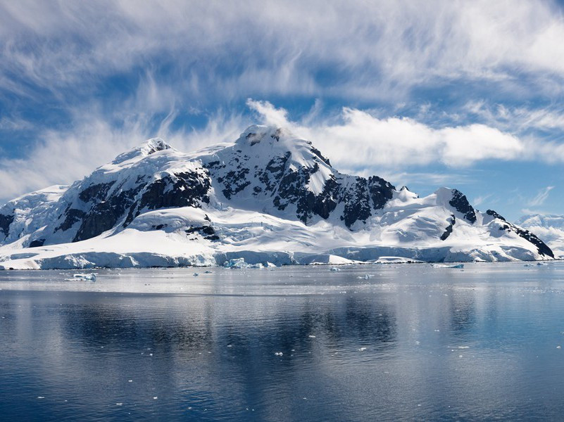 从人觅小胡孙许寄