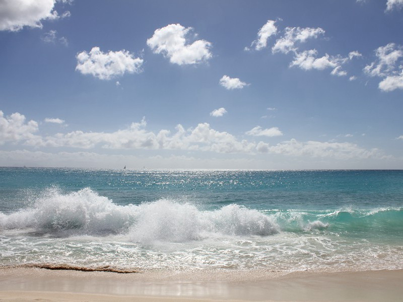 萧八明府实处觅桃栽