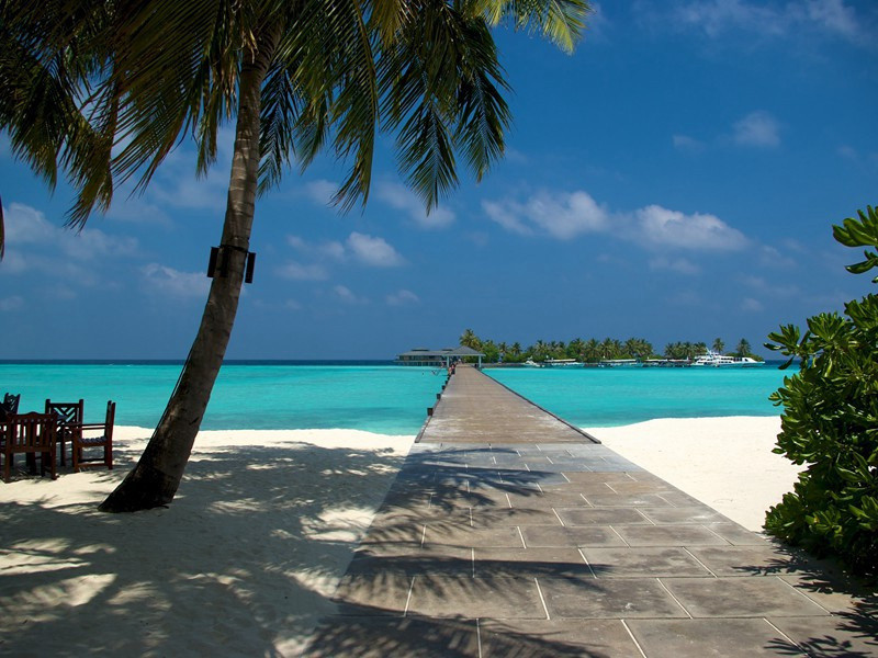 有客(一作宾至)