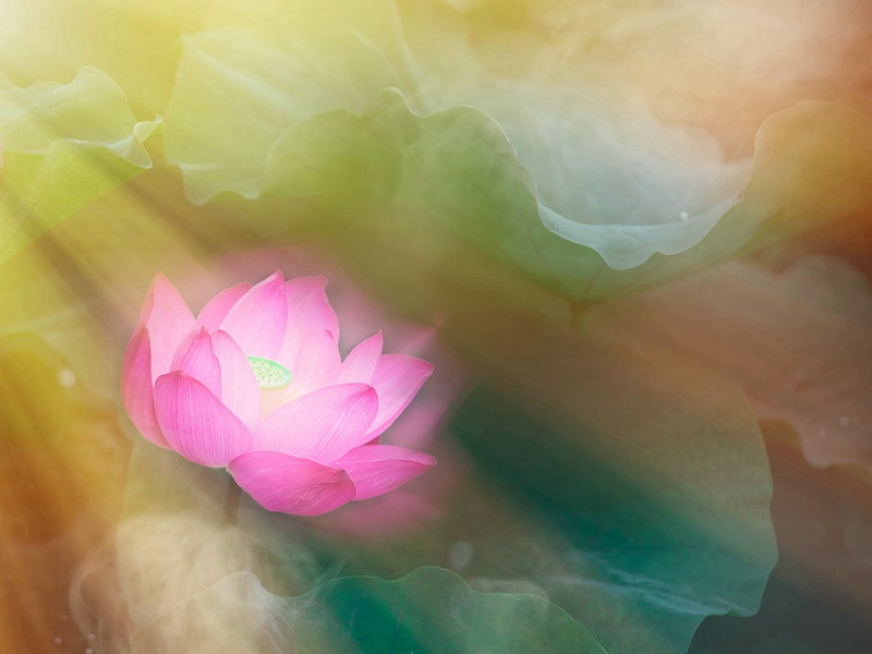 奉简高三十五使君