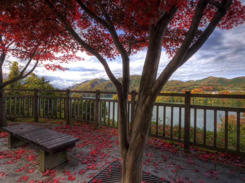 奉酬李都督表丈早春作