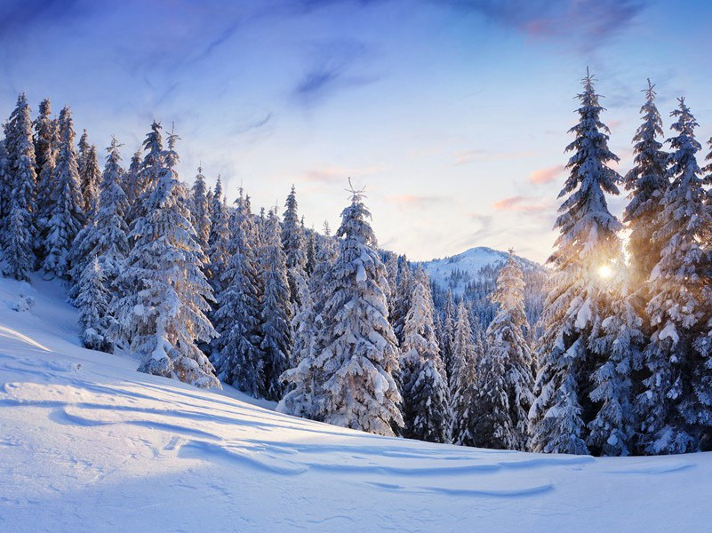 王竟携酒高亦同过共用寒字