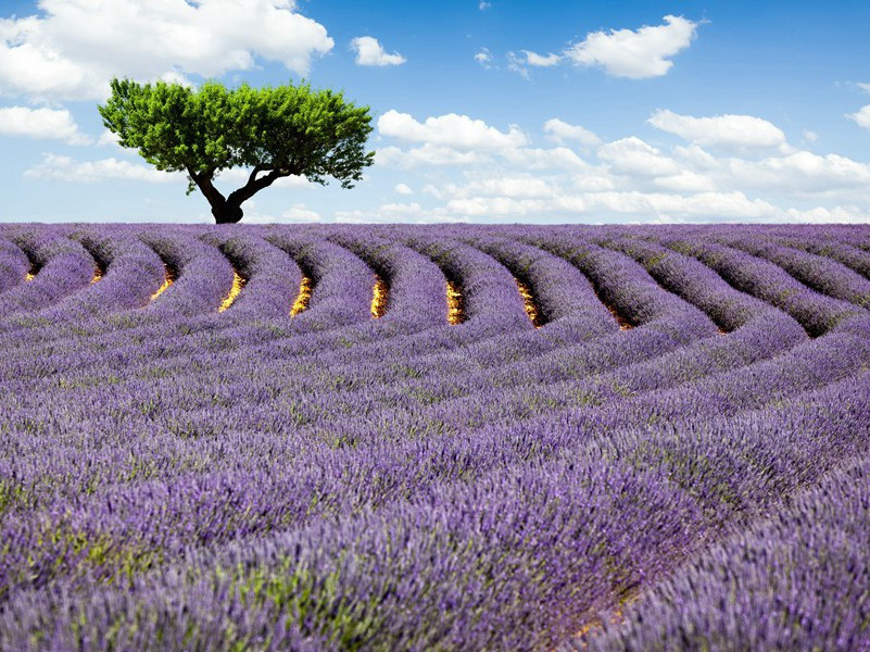 魏十四侍御就敝庐相别