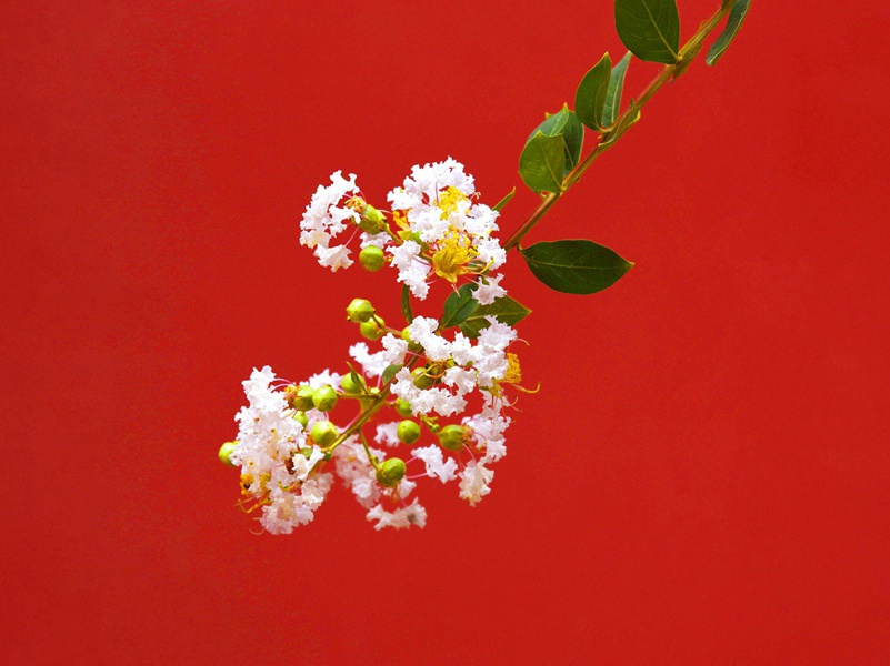 赠别郑炼赴襄阳