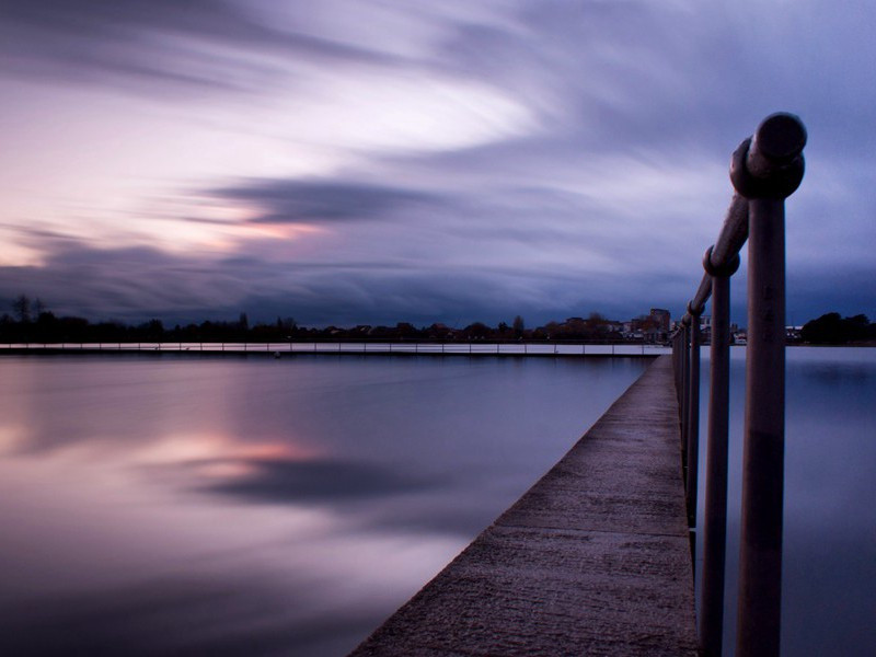 江头五咏·花鸭