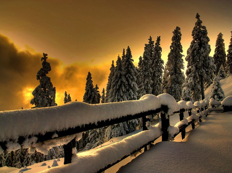 奉酬严公寄题野亭之作