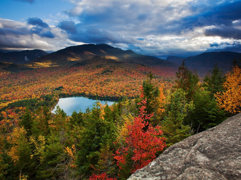 严中丞枉驾见过