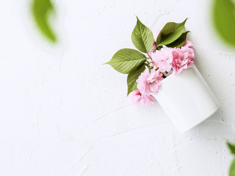 遭田父泥饮美严中丞