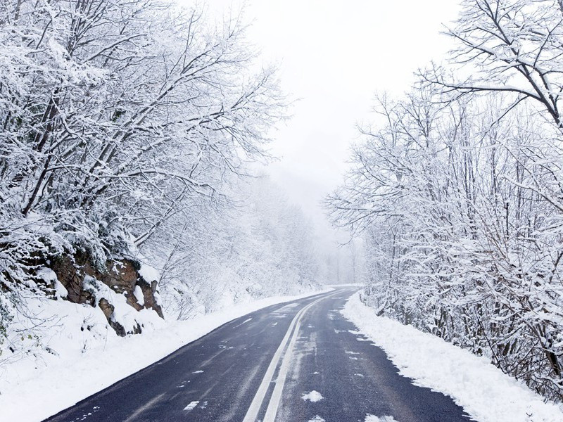 章梓州橘亭饯成都窦少尹